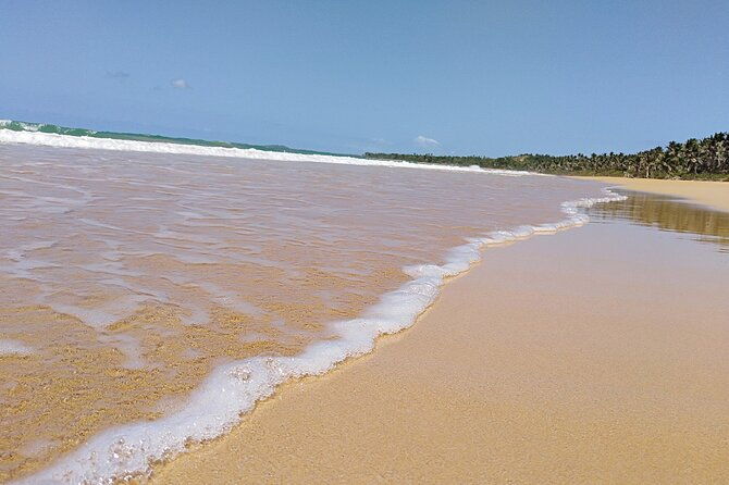 original-tropical-rainforest-and-beach-adventure