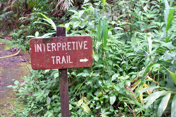 original-tropical-rainforest-and-beach-adventure