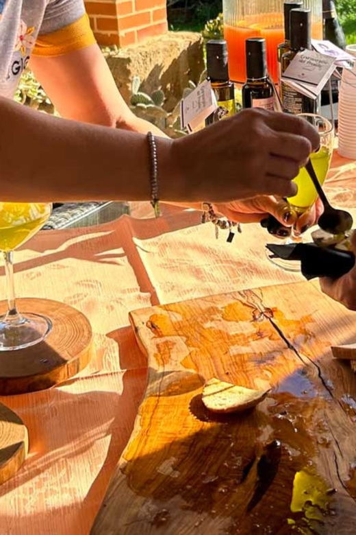 oristano-visit-a-farm-with-oil-tasting