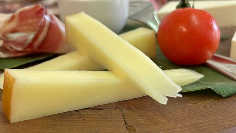 oristano-visit-a-farm-with-oil-tasting