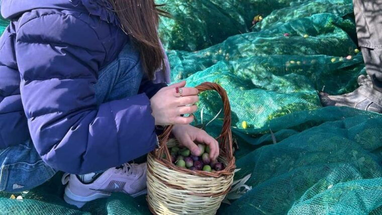oristano-visit-a-farm-with-oil-tasting