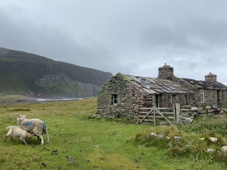 orkney-private-tour-with-local-guide