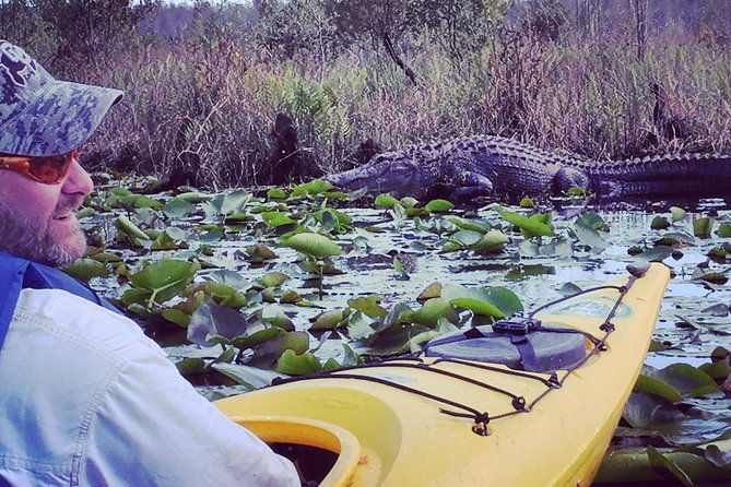 orlando-alligator-experience