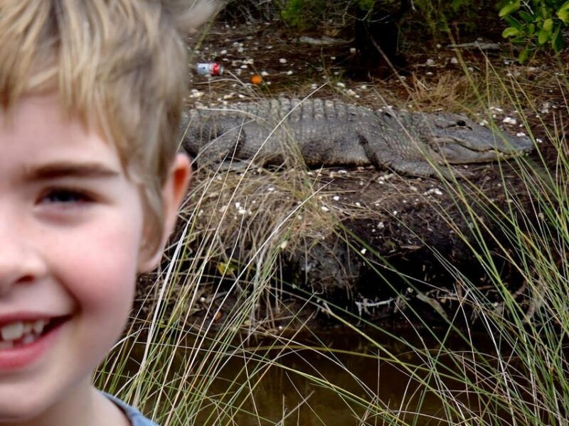 orlando-alligator-experience-day-trip-from-orlando