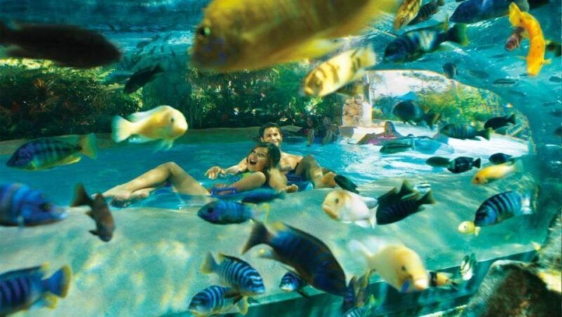 orlando-aquatica-water-park-admission-ticket