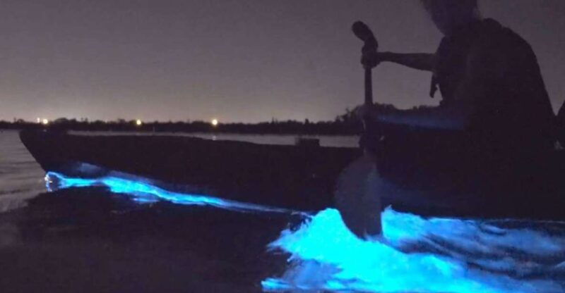 orlando-bioluminescence-clear-kayaking-or-paddleboarding