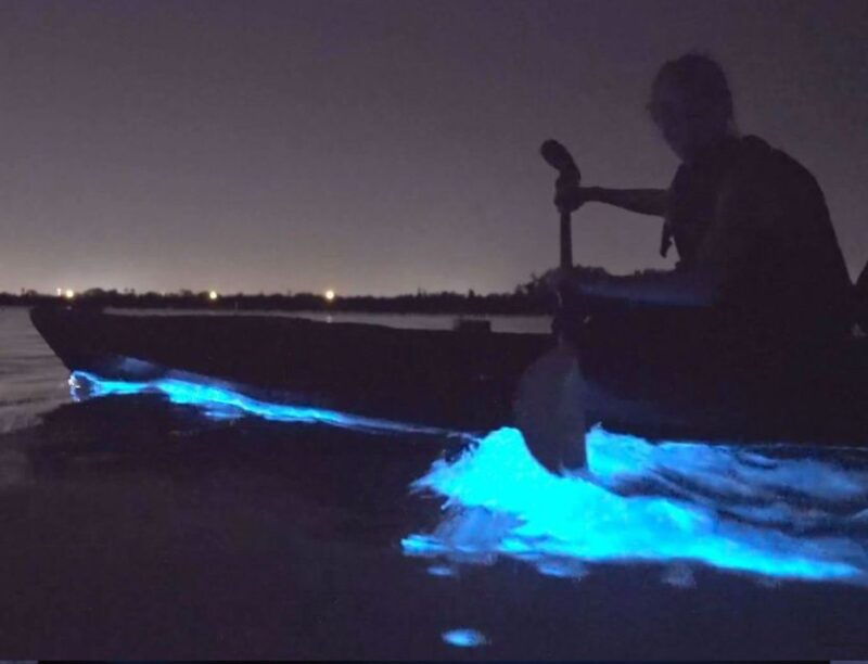 orlando-bioluminescence-clear-kayaking-or-paddleboarding