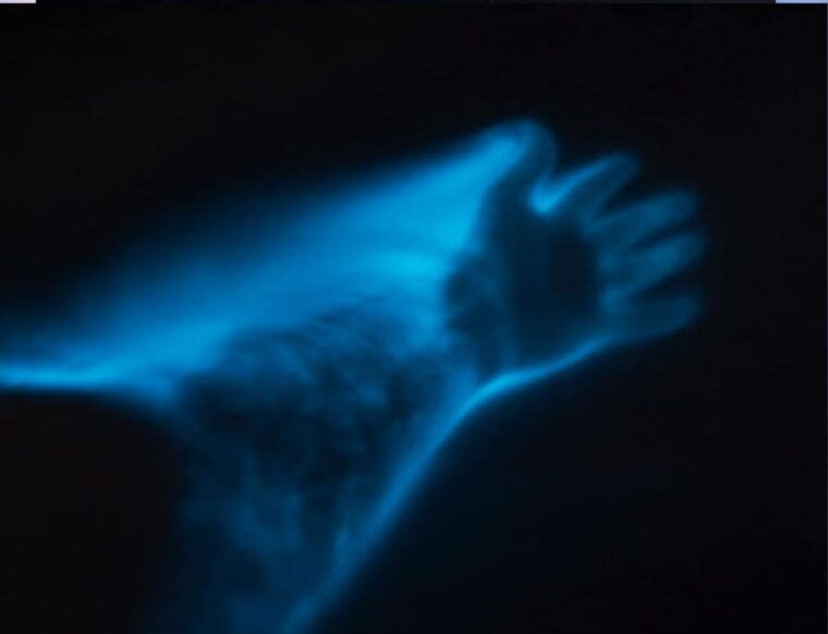 orlando-bioluminescence-clear-kayaking-or-paddleboarding