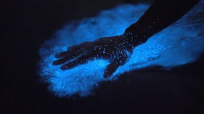 orlando-bioluminescence-kayak-adventure