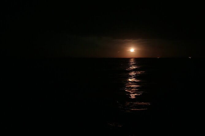 orlando-bioluminescence-kayak-and-swim-adventure-2