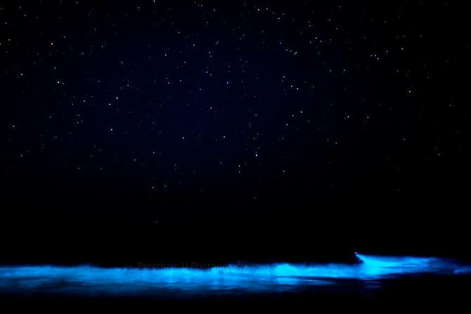 orlando-bioluminescence-kayak-and-swim-adventure