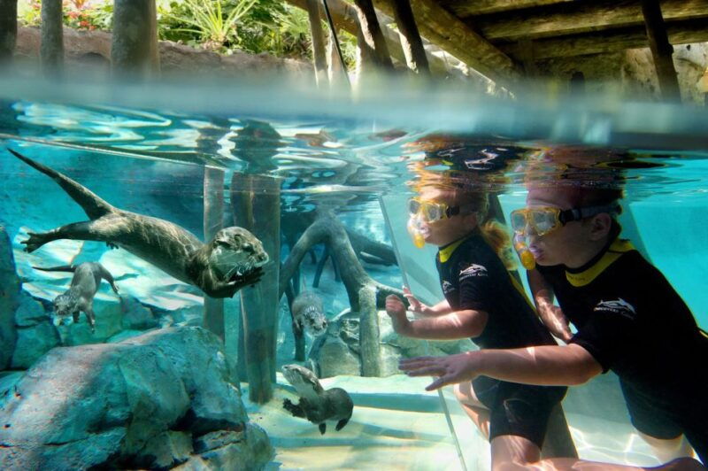 orlando-discovery-cove-admission-ticket-additional-parks