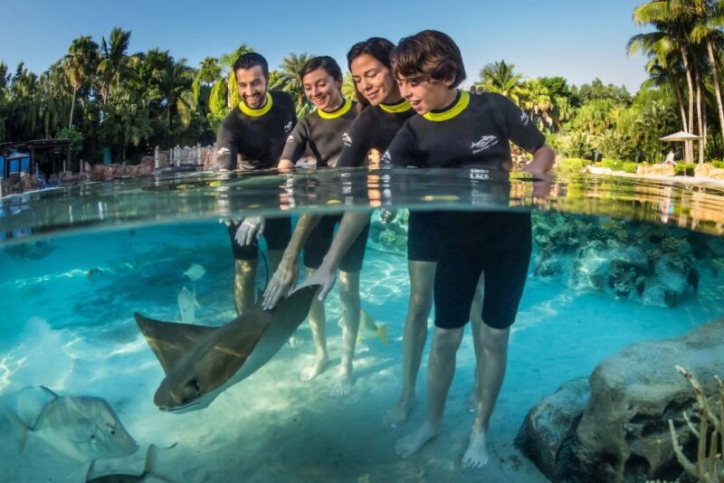 orlando-discovery-cove-admission-ticket-additional-parks