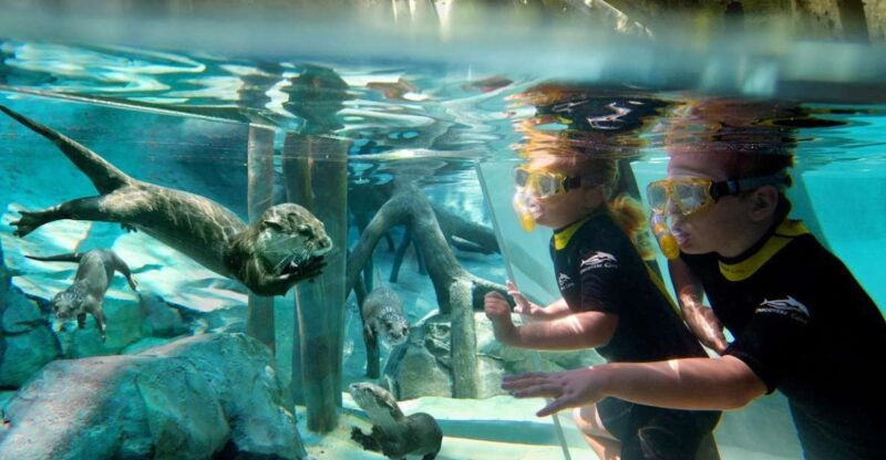 orlando-discovery-cove-admission-ticket-additional-parks
