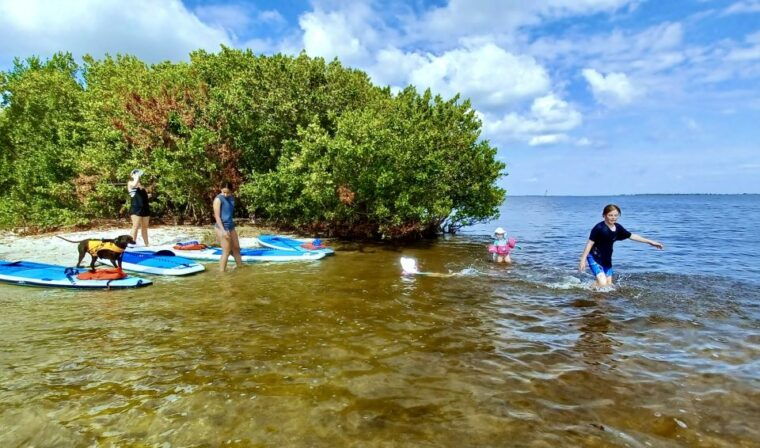 orlando-dolphin-clear-kayak-or-paddle-board-adventure