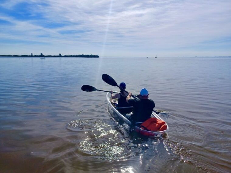 orlando-dolphin-clear-kayak-or-paddle-board-adventure