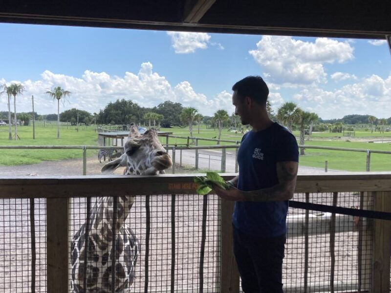 orlando-drive-thru-safari-park-at-wild-florida