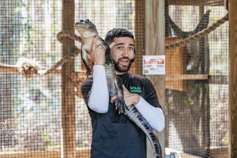 orlando-drive-thru-safari-park-at-wild-florida