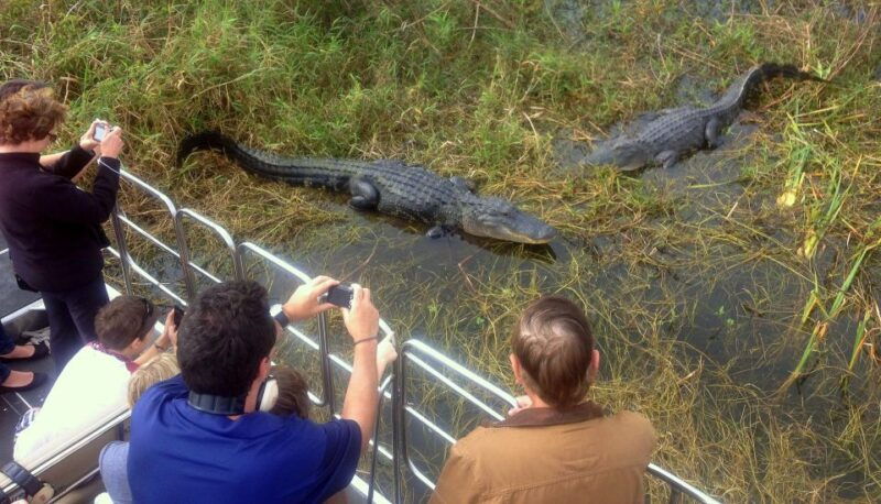 orlando-everglades-airboat-ride-and-wildlife-park-ticket