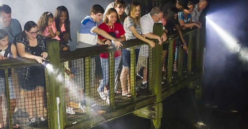 Orlando: Gatorland Flashlight Tour at Night - What to Expect During the Tour
