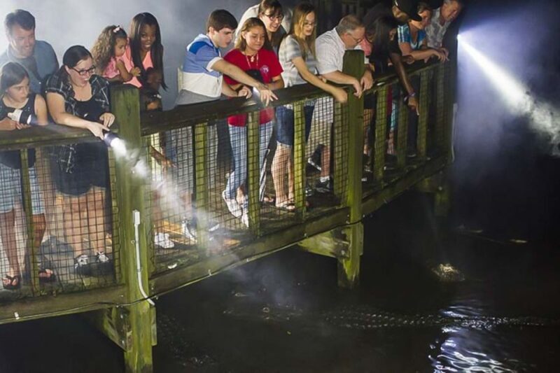 Orlando: Gatorland Flashlight Tour at Night - The Role of Guides and Reviews