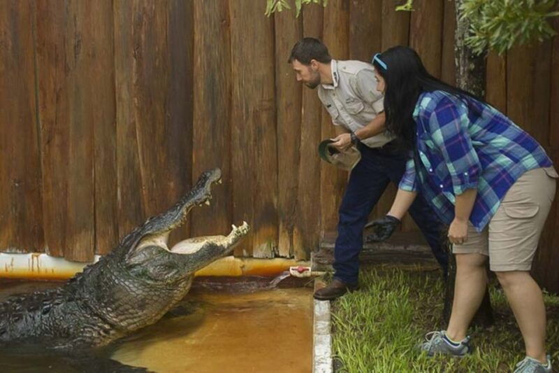 orlando-gatorland-interactive-tour-with-animal-trainer