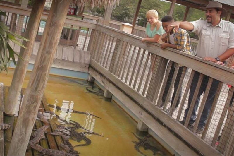 orlando-gatorland-interactive-tour-with-animal-trainer