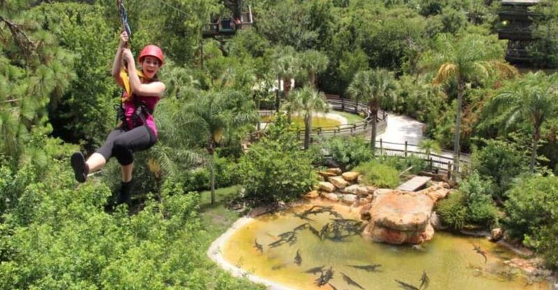 orlando-gatorland-zipline-adventure-w-full-day-park-access