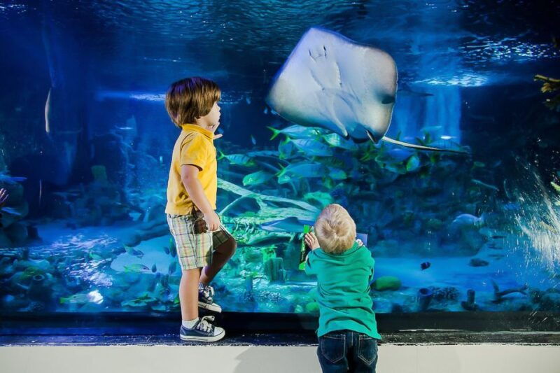 orlando-madame-tussauds-and-sea-life-aquarium-combo-ticket