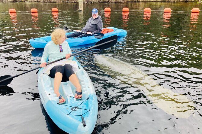 Orlando Manatee and Natural Spring Adventure Tour at Blue Springs - Authentic Feedback from Past Travelers