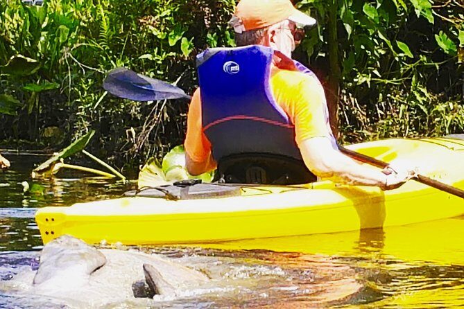 Orlando Manatee Encounters - The Sum Up