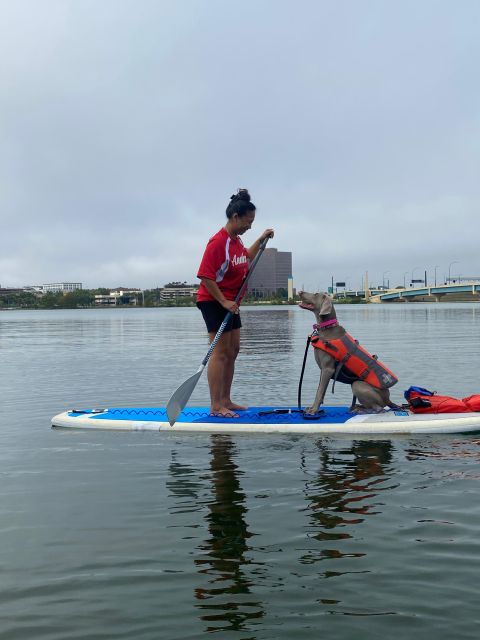 orlando-paddle-with-pups-in-paradise-paddleboard-or-kayak