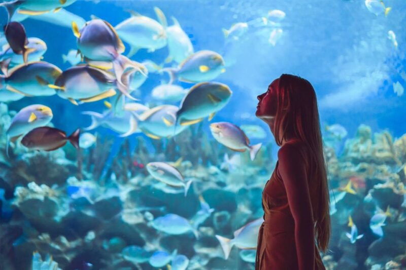 orlando-sea-life-orlando-aquarium