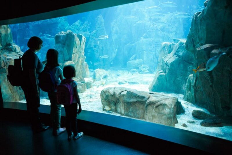 orlando-sea-life-orlando-aquarium
