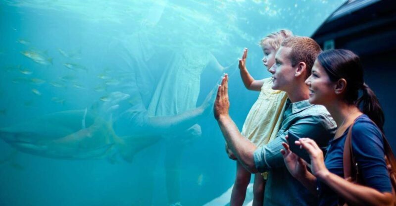 orlando-sea-life-orlando-aquarium
