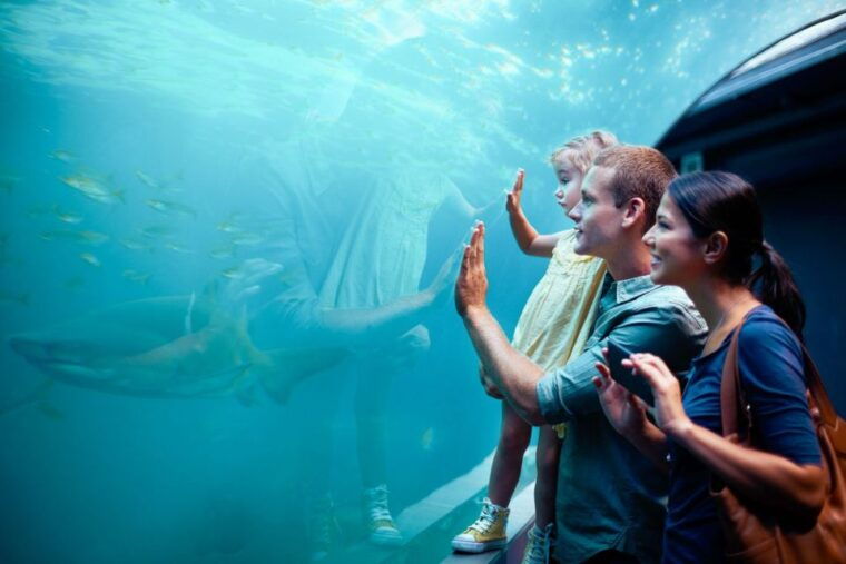 orlando-sea-life-orlando-aquarium