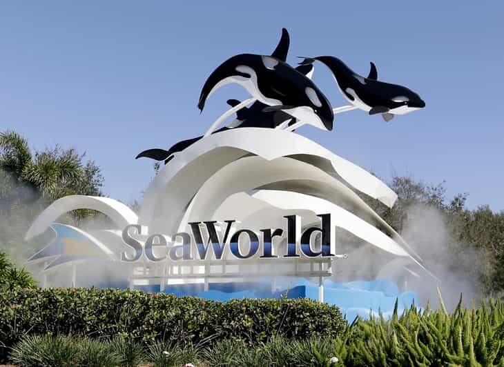Orlando: SeaWorld Shuttle Service - Why Choose the Orlando: SeaWorld Shuttle Service?