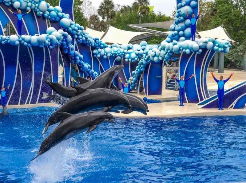 Orlando: SeaWorld Shuttle Service - Who Is This Shuttle Service Best For?
