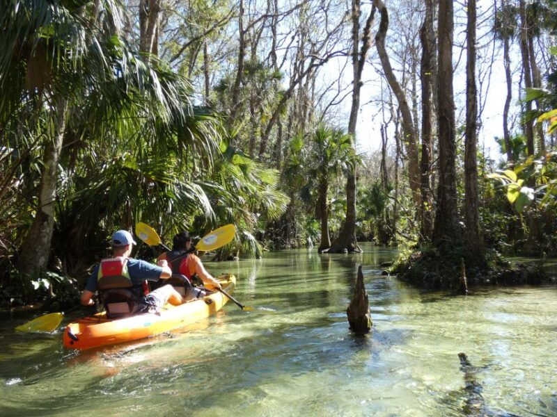 orlando-small-group-rock-springs-run-kayak-tour