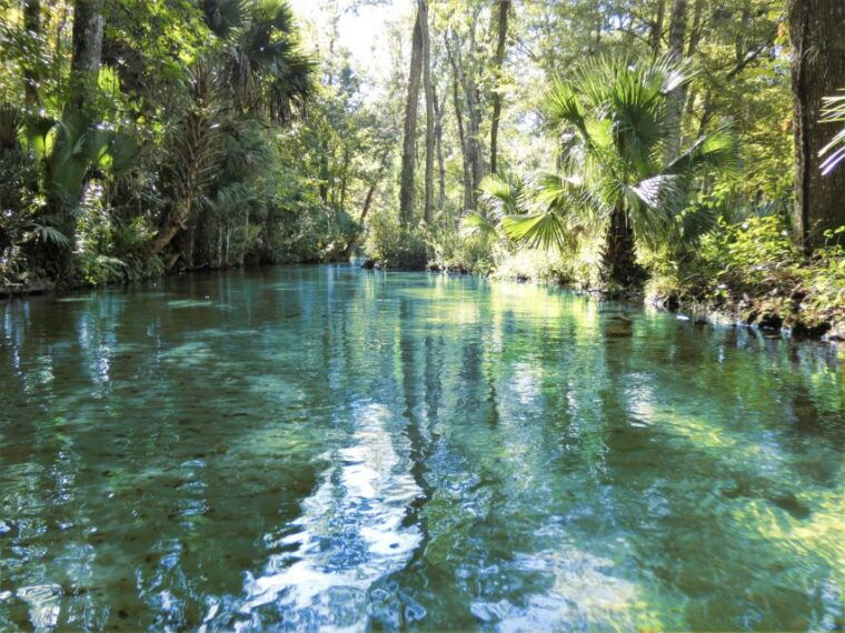 orlando-small-group-rock-springs-run-kayak-tour