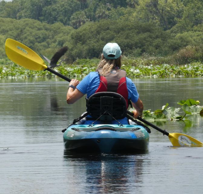orlando-small-group-scenic-wekiva-river-kayak-tour