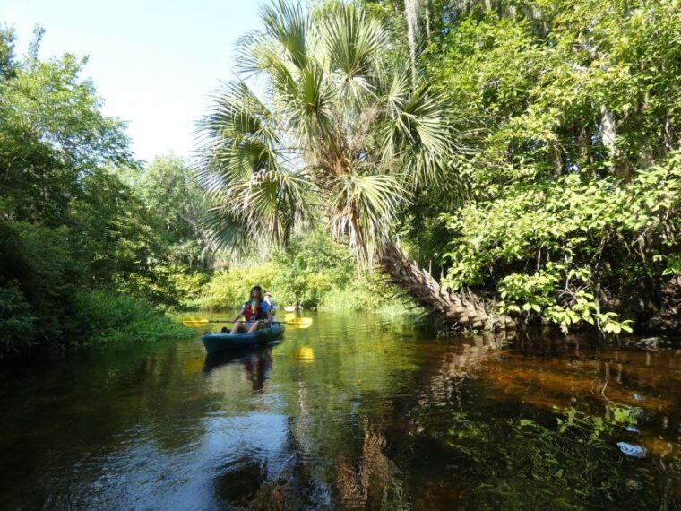 orlando-small-group-scenic-wekiva-river-kayak-tour