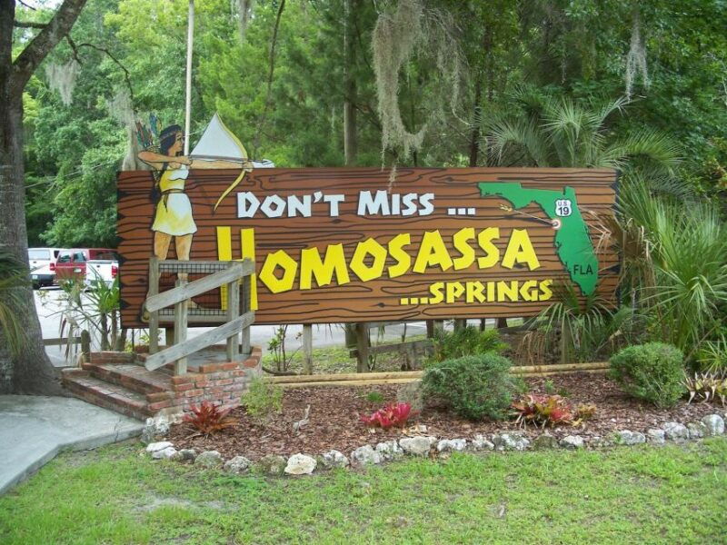 orlando-swim-with-manatees-and-homosassa-state-park-visit