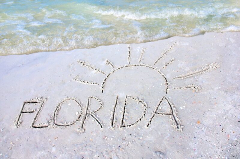 Orlando to Miami Shuttle: One-Way Trip - Key Points