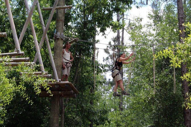 orlando-tree-trek-adventure-park