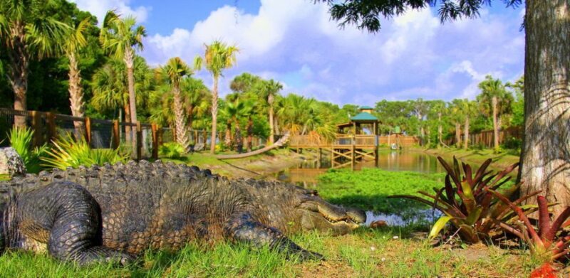 Orlando: Wild Florida Park Ticket and Gator Shows - Exploring Wild Florida Park: A Genuine Look at the Gator and Wildlife Experience
