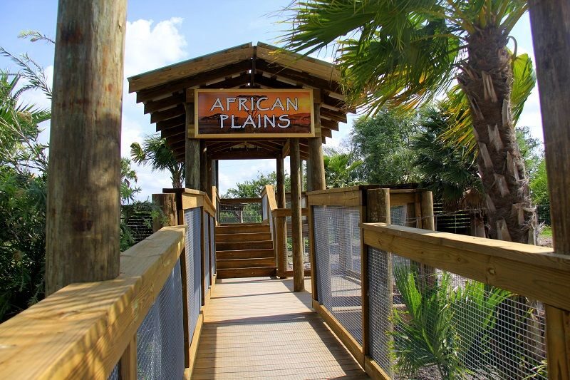 Orlando: Wild Florida Park Ticket and Gator Shows - Final Thoughts: Is Wild Florida Park Worth It?