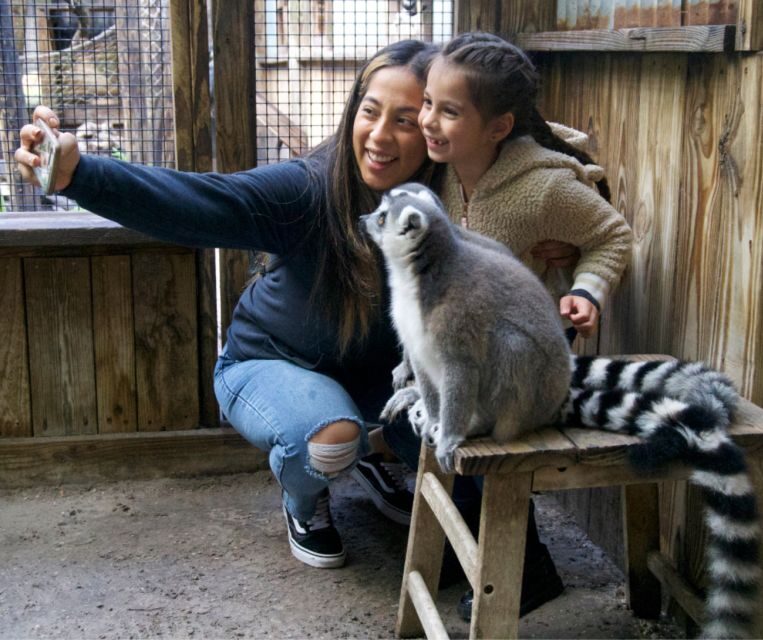Orlando: Wild Florida Park Ticket and Gator Shows - Who Should Consider Visiting?