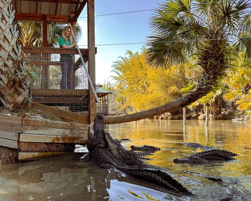 Orlando: Wild Florida Park Ticket and Gator Shows - Frequently Asked Questions