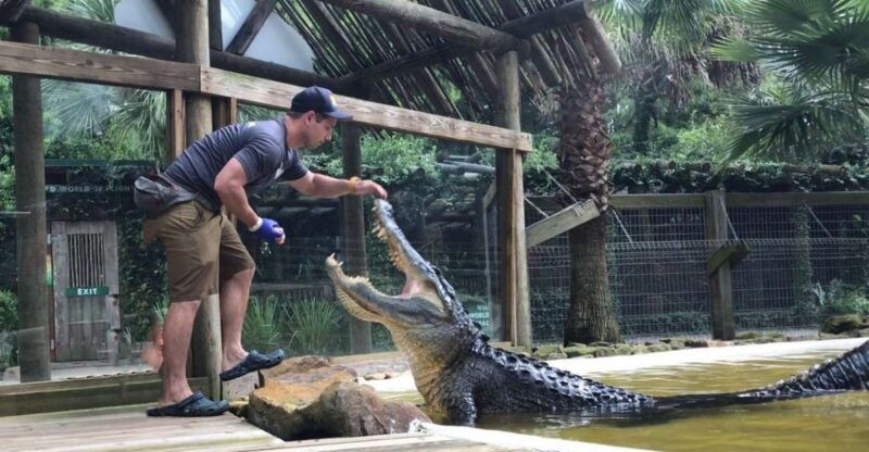 orlando-wild-florida-park-ticket-and-gator-shows